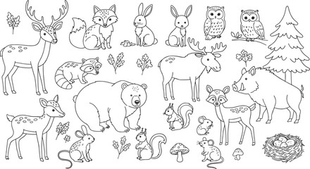 Forest animals outline vector illustration, woodland wildlife coloring page with deer, fox, bear, owl, rabbit, raccoon © MdAbdur