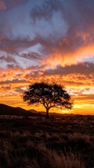 Serene Sunset Silhouette Lonely Tree Dramatic Sky Landscape.