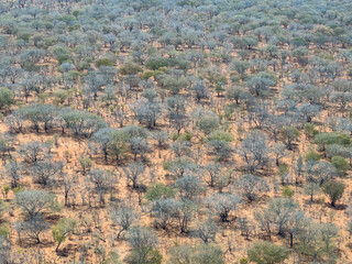 View of the dry landscape from above in Zimbabwe.