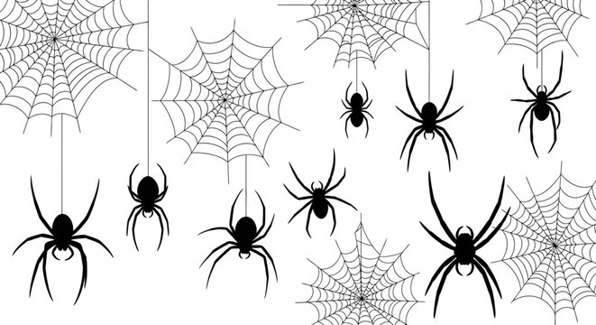 Spooky Halloween spiders and intricate webs create a chillingly festive atmosphere for seasonal decorating