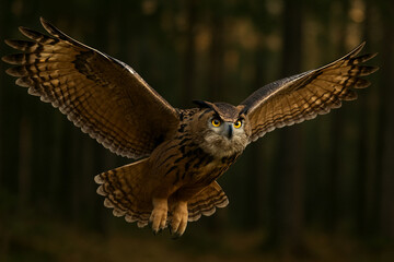 Obraz premium Eagle-Owl in Flight – AI Generated