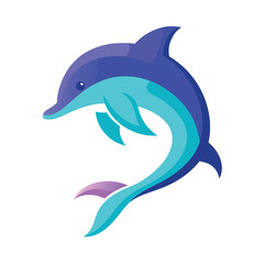 dolphin isolated on white background