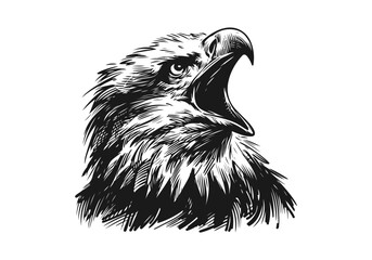 Eagle Hand Drawn Natural Illustration Vector Isolated by AZ for Books, Arts, Design and Decoration Graphic Asset