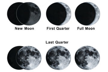 Lunar phases celestial bodies isolated on a transparent background