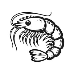 Stylized shrimp illustration with segmented body in monochrome sketch style, vector