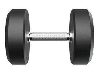Blank Round Rubber Dumbbell, weightlifting gym equipment side view, isolated on white background. 3D illustration