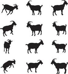 Obraz premium Collection of Goat Silhouettes in Various Poses on a White Background