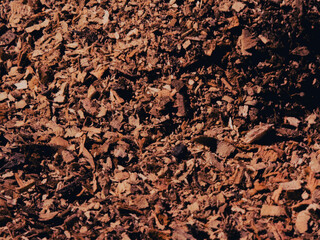 Natural Brown Wood Chips and Bark