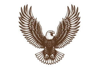 Obraz premium Eagle Engraved Hand Drawn Natural Illustration Vector Isolated by AZ for Books, Arts, Design and Decoration Graphic Asset