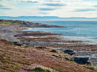 rocky shore of the Arctic Ocean without people