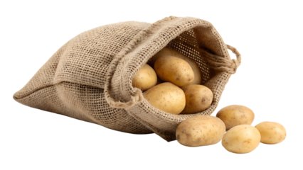 Burlap Sack of Potatoes