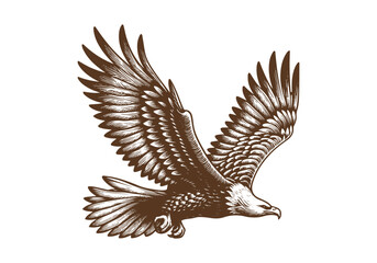 Fototapeta premium Eagle Engraved Hand Drawn Natural Illustration Vector Isolated by AZ for Books, Arts, Design and Decoration Graphic Asset