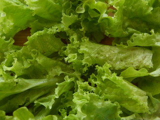 Green leaves of homemade salad photographed close-up. Healthy vegetarian food. Healthy food for health.