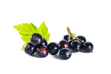 Ripe blackcurrant berries with leaves isolated on white.