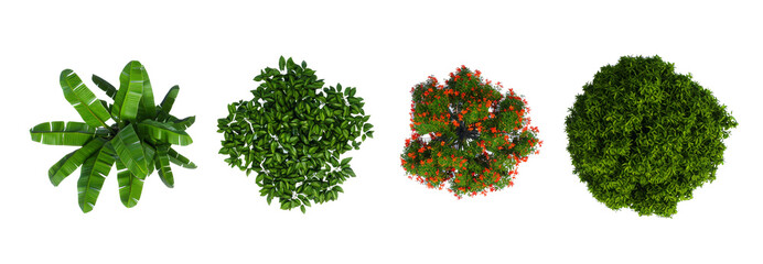 Variety of Green Trees and Shrubs, Top View, Garden and Landscape Design Element, Architecture Plan Layout, PNG Cutout - transparent Background