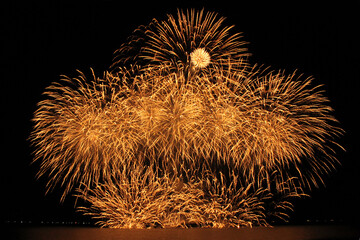Golden Fireworks Display Against a Night Sky