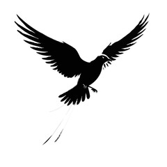 Fototapeta premium eagle on white background