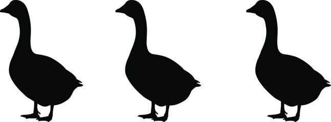 Goose silhouette illustration, black bird shape, vector farm animal design, wildlife template, domestic goose art, nature outline, simple animal graphic