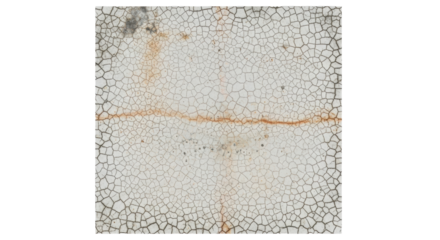 Dried empty swimming pool floor, aged plaster with fractal cracks, mineral deposits, rust stains, mildew, isolated on transparent background under studio light, concept of decay and abandonment