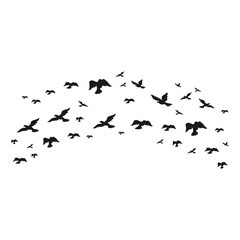 Shilhouette Of Flying Birds