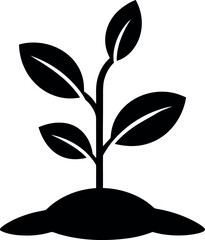 Plant with Four Leaves Icon