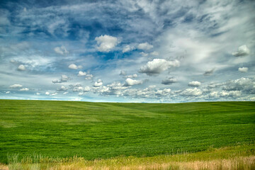 Farmland in Washington State
