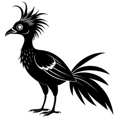Hoatzin vector clean black silhouette design white background