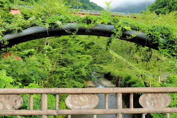 岐阜県池田町藤橋の橋の上から見た柵と緑