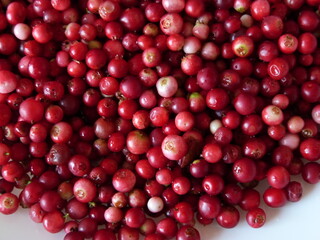 Red lingonberry photographed close-up. Healthy vegetarian food. Healthy food for health.