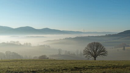 Foggy dawn over undulating hills with a solitary tree nearby and distant factory emissions, capturing a peaceful rural valley beneath a gentle blue sky