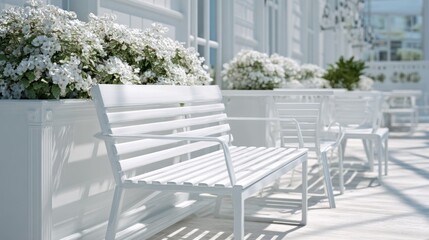 Fototapeta premium Realistic stock photo of 'outdoor furniture' scene using white tones, conveying a cheerful mood, tailored for Educators and institutions.