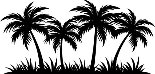 Silhouette of palm trees with tropical foliage vector