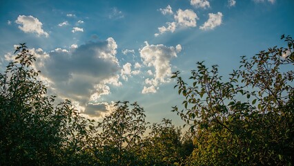 Obraz premium Spring season often offers pleasant weather with clear skies and abundant sunshine.