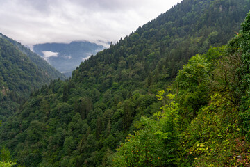 Obraz premium Fog Slowly Rising from the Green Valley Surrounded by Mountains