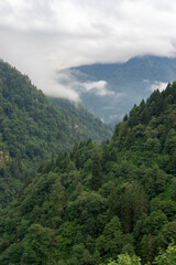 Fototapeta premium Fog Slowly Rising from the Green Valley Surrounded by Mountains