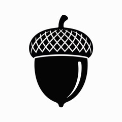 acorn vector illustration