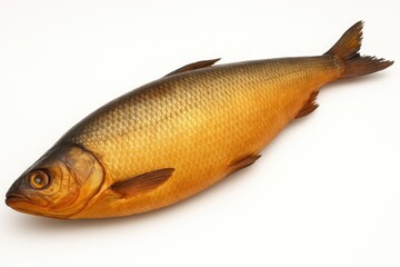 Freshly smoked fish arranged against a white background