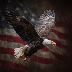 Obraz premium A bald eagle is flying over an American flag