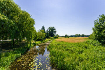 Allertal Nature Reserve between Wolfsburg and Gifhorn, Lower Saxony, Germany
