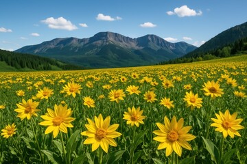 Obraz premium Mountain scenery filled with vibrant yellow wildflowers