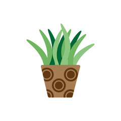 Houseplant Illustration