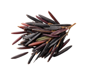 Harvesting black rice rice field food agricultural landscape, isolated on transparent background, png