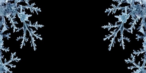 Obraz premium Intricate frostwork ice crystals form a delicate frame against a deep black matte background, holiday design, cold design