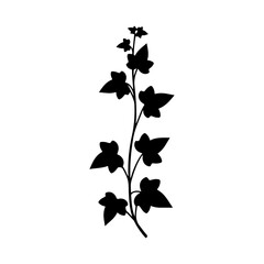 Black ivy silhouette vector flat illustration on white background.