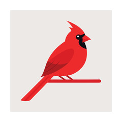 Red cardinal bird perched on a branch red bird male cardinal