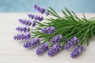 Fototapeta premium Lavender and lilac floral branches arranged on the table