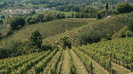 Nature scene of green hills planted with crops in neat lines encircling a prominent industrial district during summer