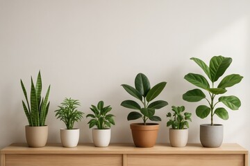 Fototapeta premium Indoor potted plants on wooden shelf in minimalistic interior