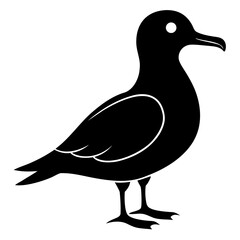 Petrel vector clean black silhouette design white background