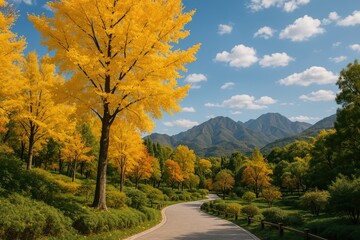 Obraz premium Fall at Mangshan Park in the Major Urban Area